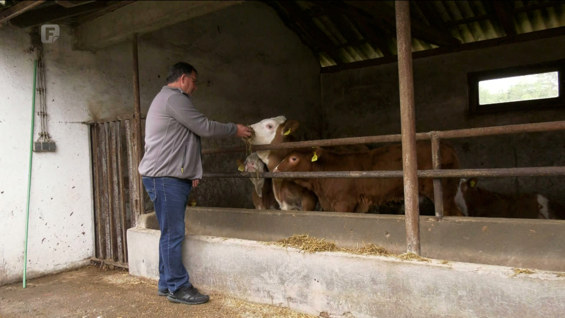 Poljoprivrednici u Posavini neumorno se bore s novim izazovima